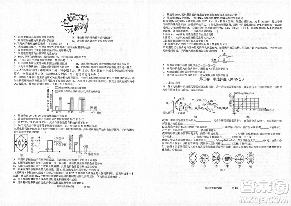 遼寧省2023-2024學年上學期遼西聯(lián)合校高三11月期中考試生物答案