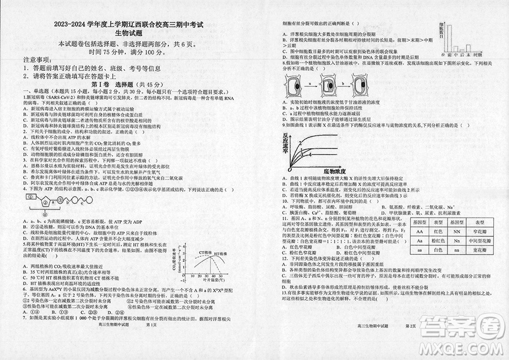 遼寧省2023-2024學年上學期遼西聯(lián)合校高三11月期中考試生物答案