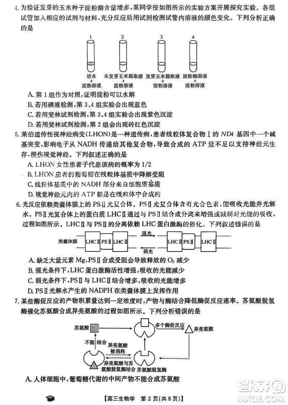 2024屆福建金太陽高三上學期11月16號聯(lián)考生物參考答案