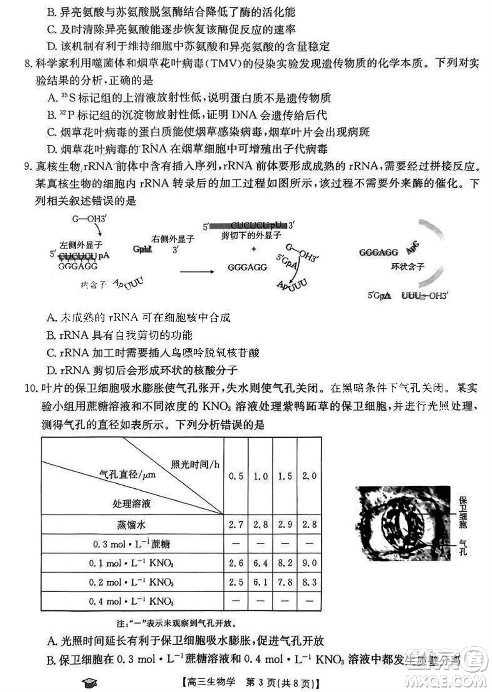 2024屆福建金太陽高三上學期11月16號聯(lián)考生物參考答案