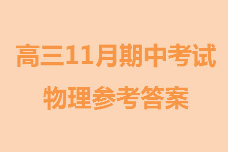 遼寧省2023-2024學(xué)年上學(xué)期遼西聯(lián)合校高三11月期中考試物理答案