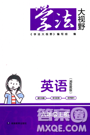 湖南教育出版社2023年秋學法大視野六年級英語上冊湘魯版答案