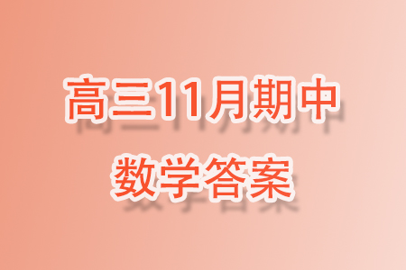 福建龍巖名校2023-2024學(xué)年高三上學(xué)期期中考試數(shù)學(xué)試題答案