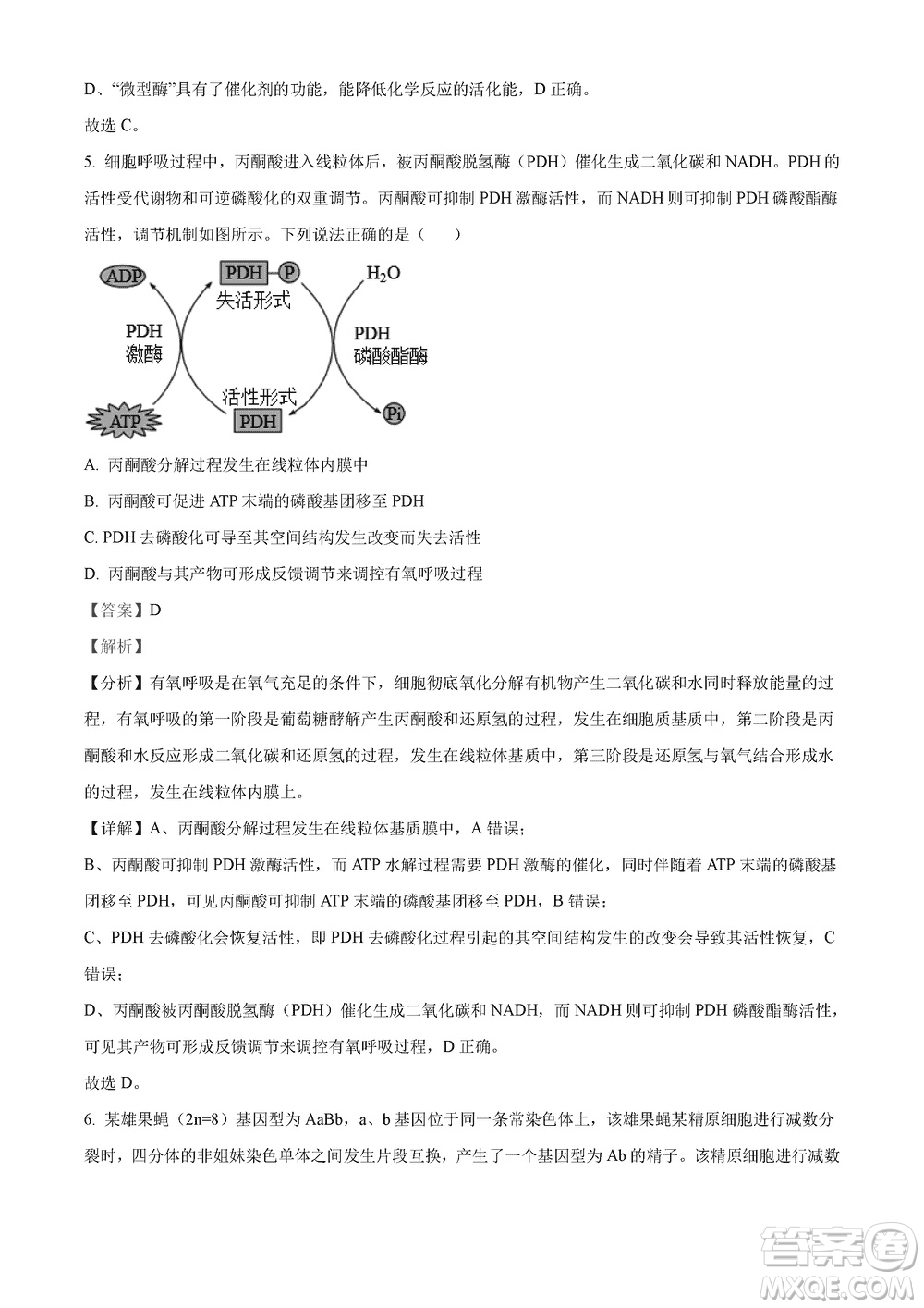 2023年11月湖南岳汨聯(lián)考高三期中考試生物參考答案