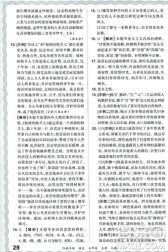 江西人民出版社2023年秋王朝霞各地期末試卷精選七年級(jí)語文上冊(cè)人教版河南專版答案