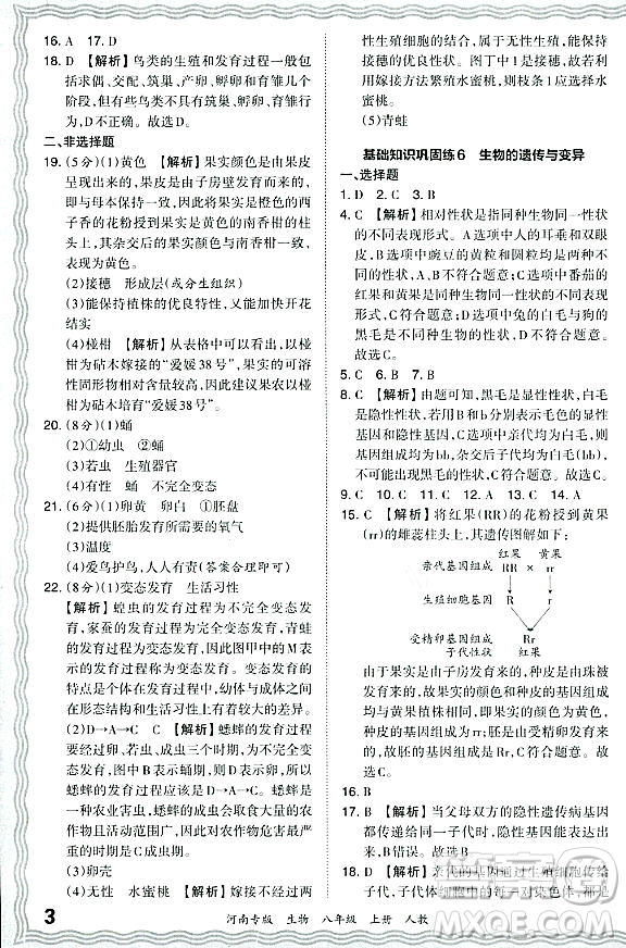 江西人民出版社2023年秋王朝霞各地期末試卷精選八年級(jí)生物上冊(cè)人教版河南專版答案