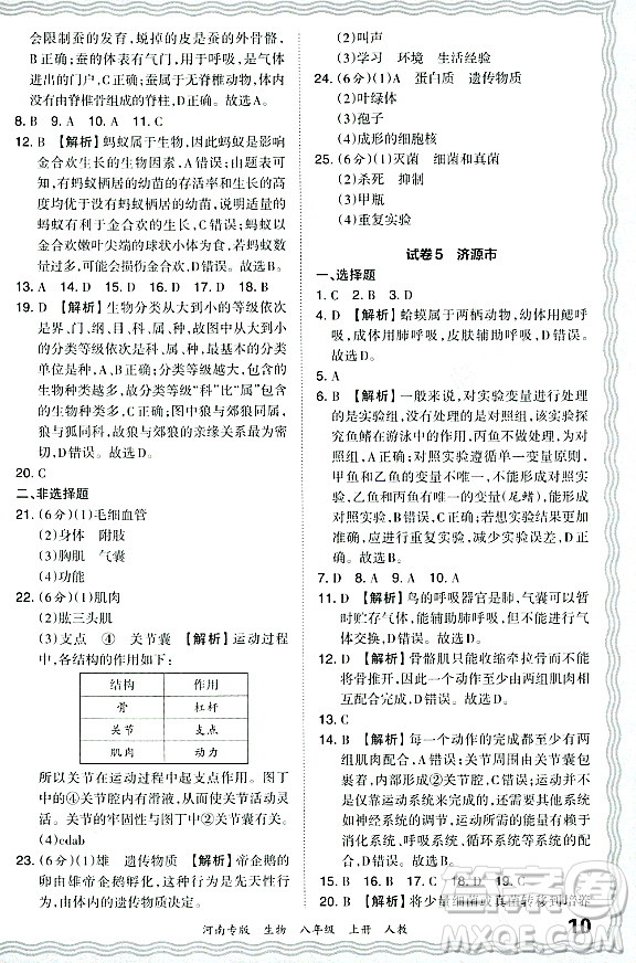 江西人民出版社2023年秋王朝霞各地期末試卷精選八年級(jí)生物上冊(cè)人教版河南專版答案