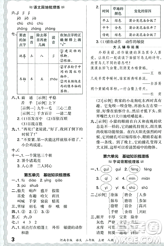 江西人民出版社2023年秋王朝霞各地期末試卷精選三年級(jí)語文上冊(cè)人教版河南專版答案