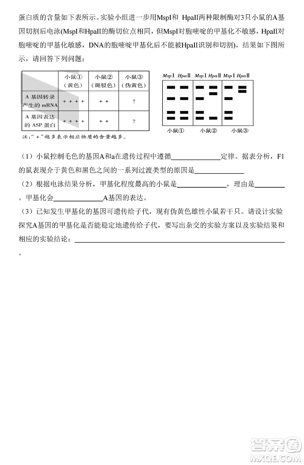 湖南天一大聯(lián)考2024屆高三上學(xué)期11月第三次生物參考答案