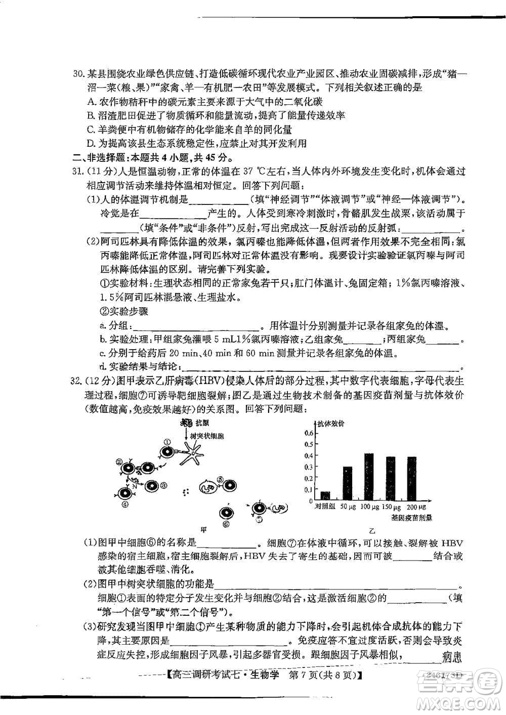 2024屆高三上學期11月TOP二十名校調(diào)研考試七生物參考答案