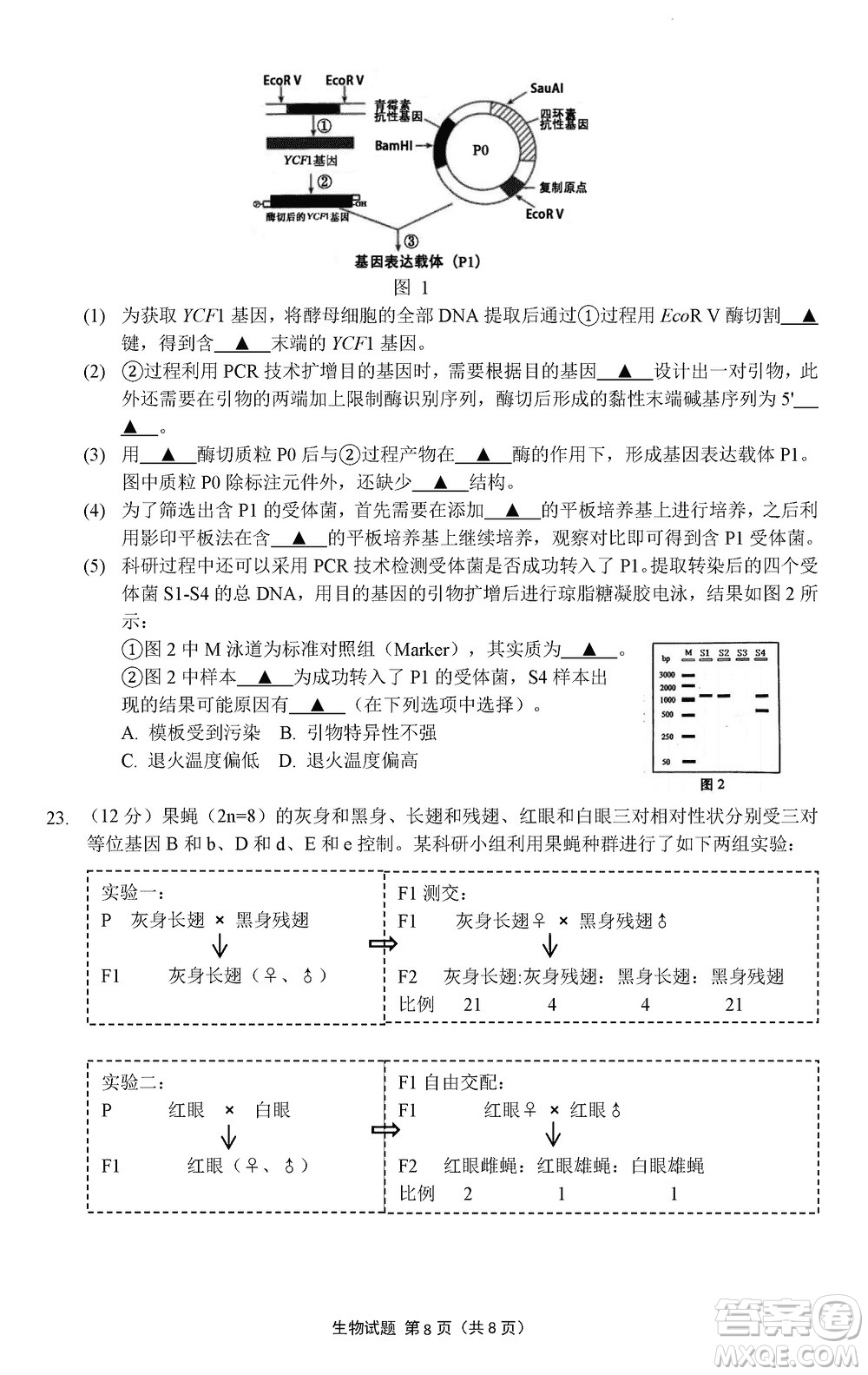 南京市六校聯(lián)合調(diào)研2023-2024學(xué)年高三上學(xué)期11月期中考試生物答案