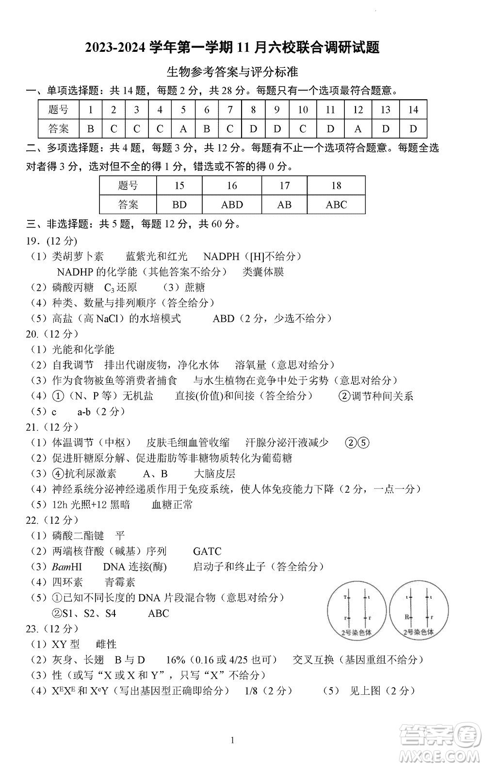 南京市六校聯(lián)合調(diào)研2023-2024學(xué)年高三上學(xué)期11月期中考試生物答案