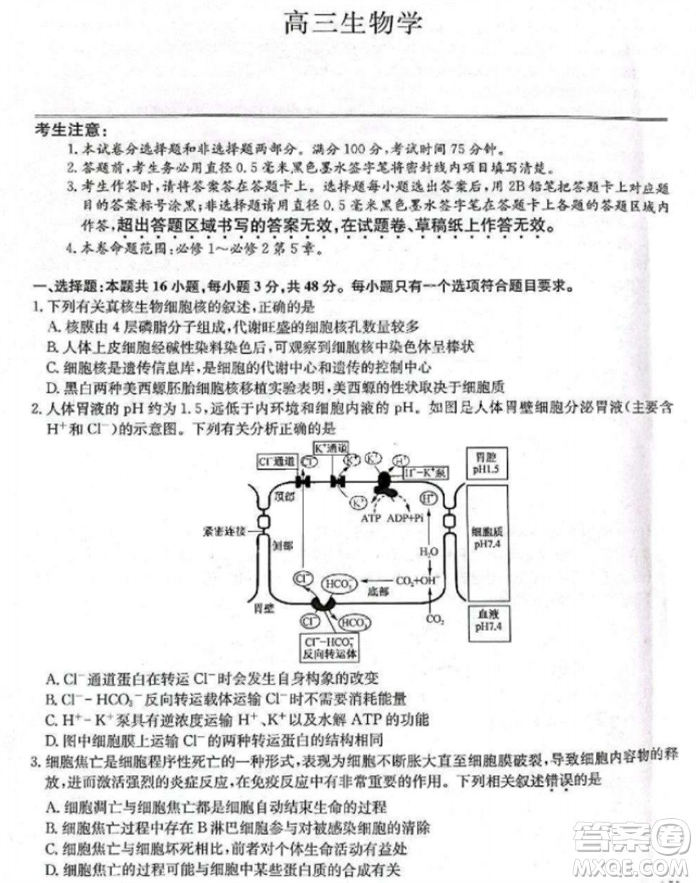 九師聯(lián)盟2024屆高三上學(xué)期11月質(zhì)量檢測(cè)LY生物參考答案