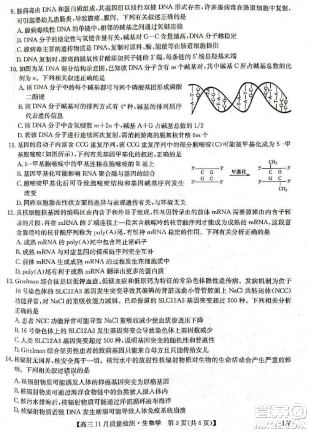 九師聯(lián)盟2024屆高三上學(xué)期11月質(zhì)量檢測(cè)LY生物參考答案