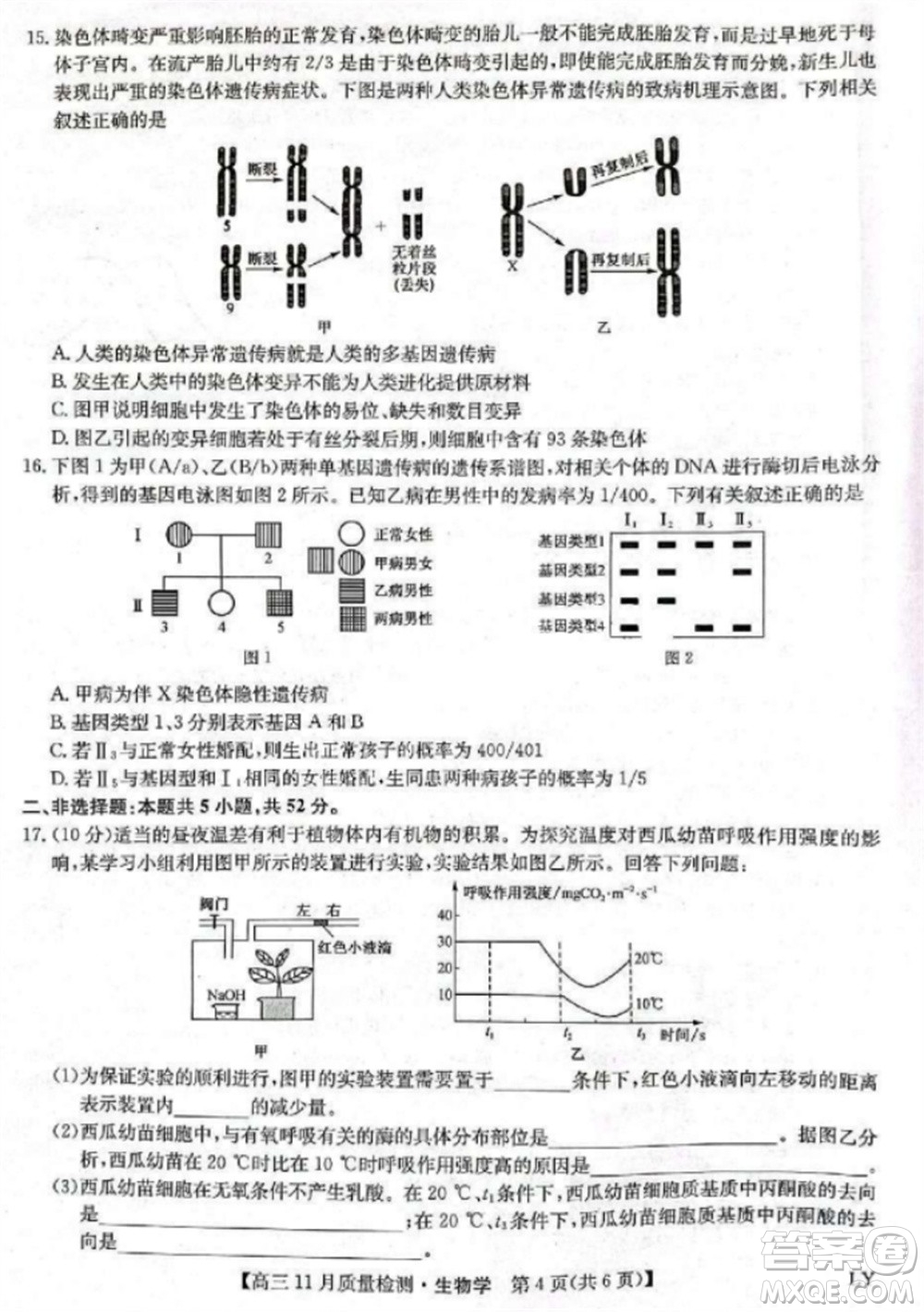 九師聯(lián)盟2024屆高三上學(xué)期11月質(zhì)量檢測(cè)LY生物參考答案