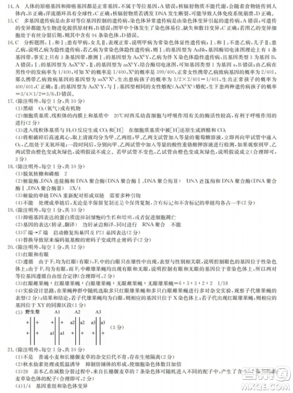 九師聯(lián)盟2024屆高三上學(xué)期11月質(zhì)量檢測(cè)LY生物參考答案