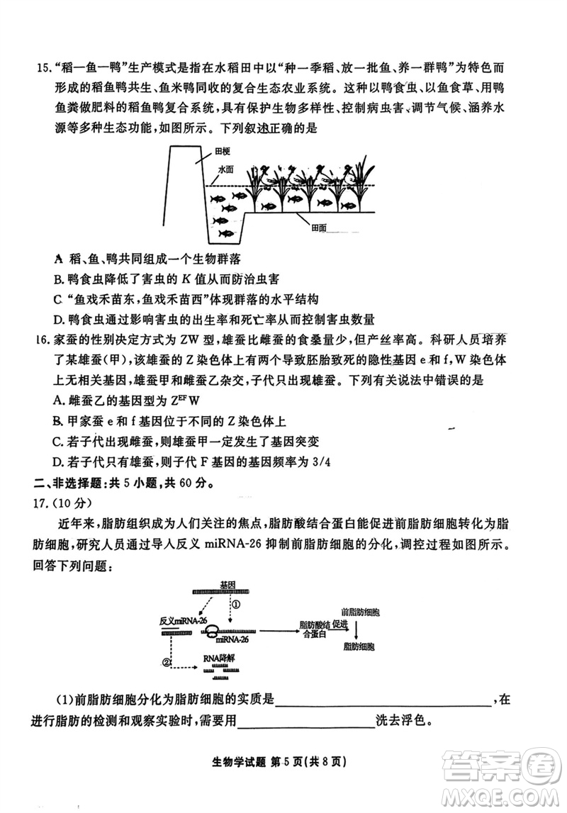 廣東衡水金卷2024屆高三上學(xué)期11月聯(lián)考生物參考答案