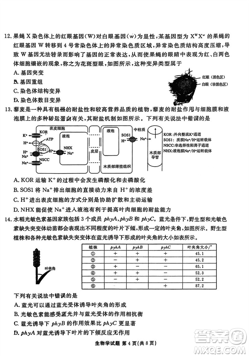 廣東衡水金卷2024屆高三上學(xué)期11月聯(lián)考生物參考答案