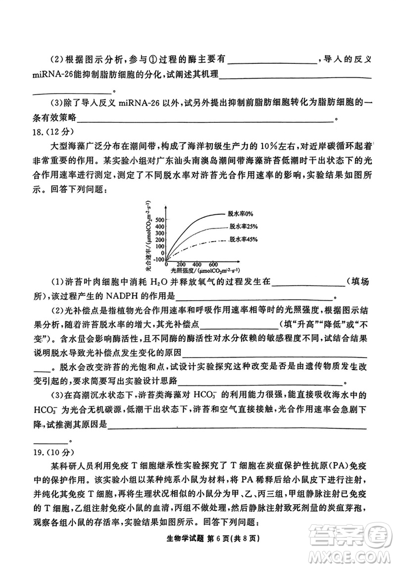 廣東衡水金卷2024屆高三上學(xué)期11月聯(lián)考生物參考答案