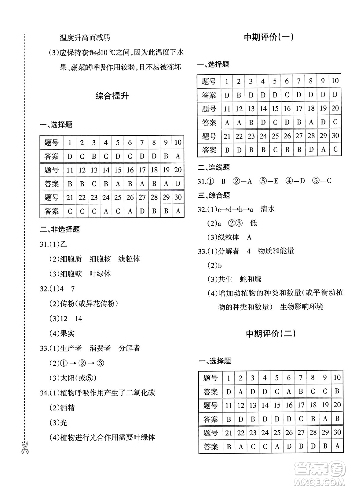 新疆青少年出版社2023年秋優(yōu)學(xué)1+1評價(jià)與測試七年級生物上冊通用版答案