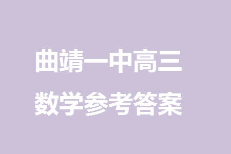 曲靖一中2024屆高三上學(xué)期11月教學(xué)質(zhì)量監(jiān)測(cè)試卷四數(shù)學(xué)參考答案