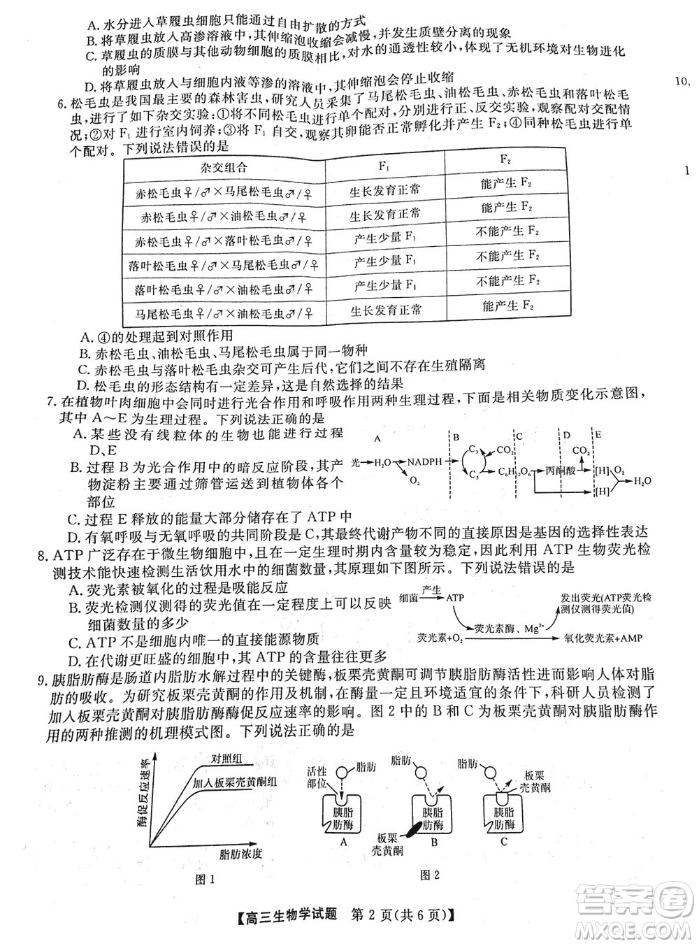 湖南天壹名校聯(lián)盟2024屆高三上學(xué)期11月質(zhì)量檢測試題生物參考答案