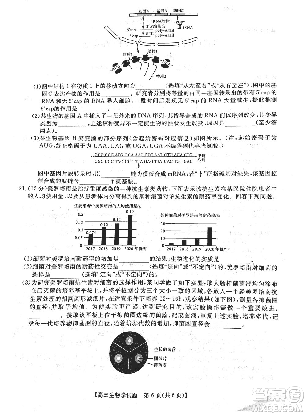 湖南天壹名校聯(lián)盟2024屆高三上學(xué)期11月質(zhì)量檢測試題生物參考答案