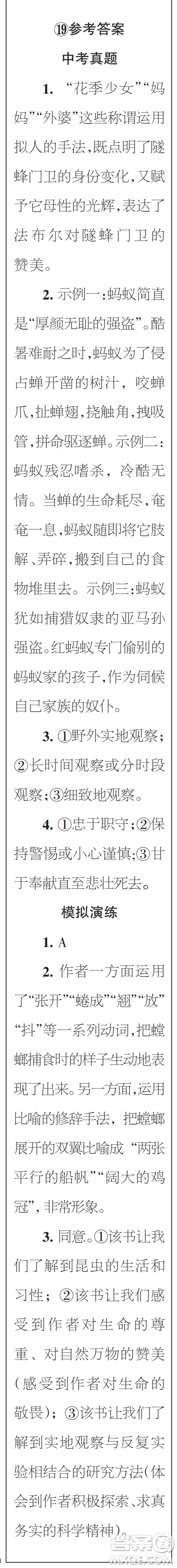 時代學習報初中版2023年秋八年級語文上冊17-20期參考答案