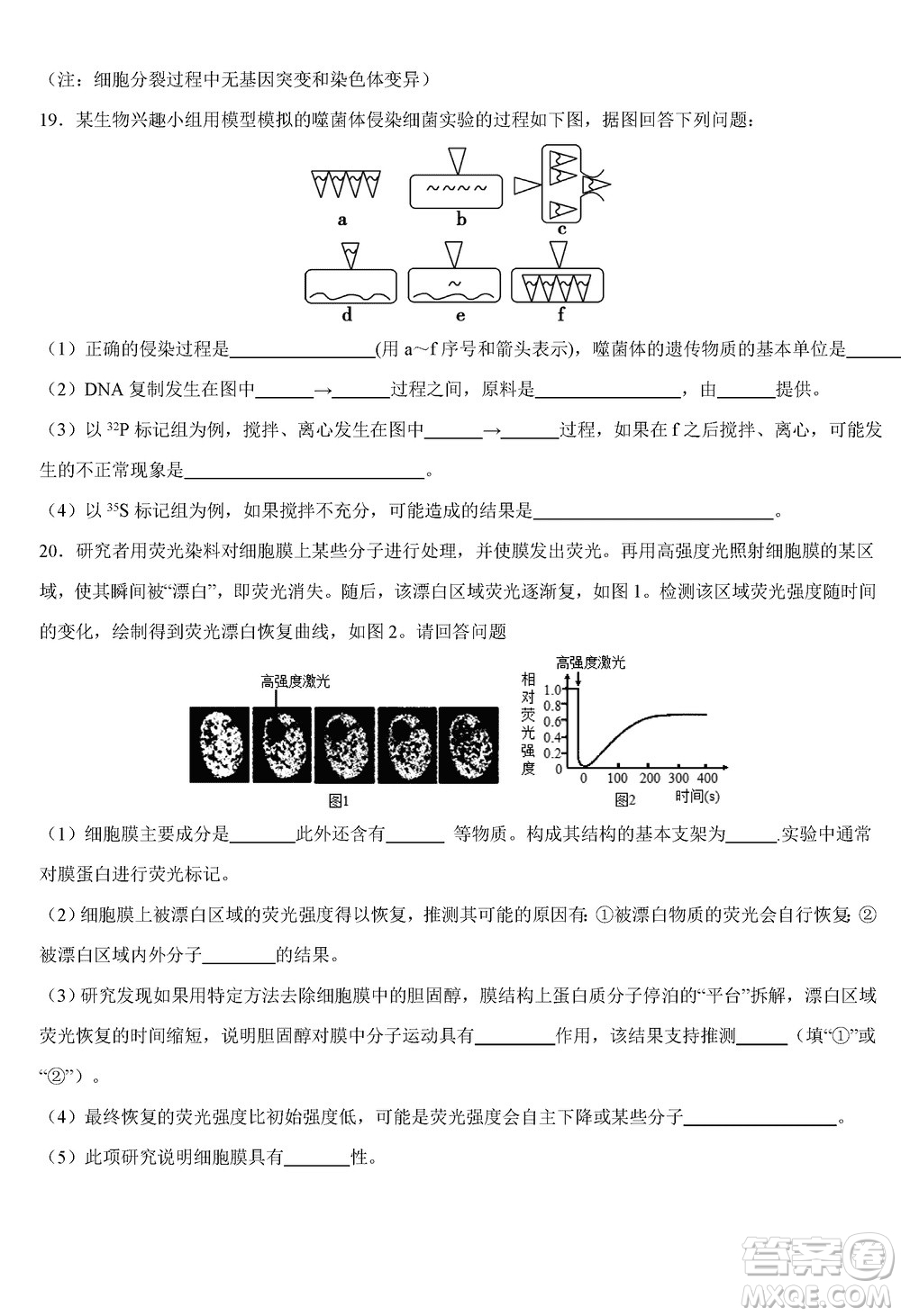 重慶烏江新高考協(xié)作體2024屆高三上學(xué)期12月期中學(xué)業(yè)質(zhì)量聯(lián)合調(diào)研抽測(cè)生物答案