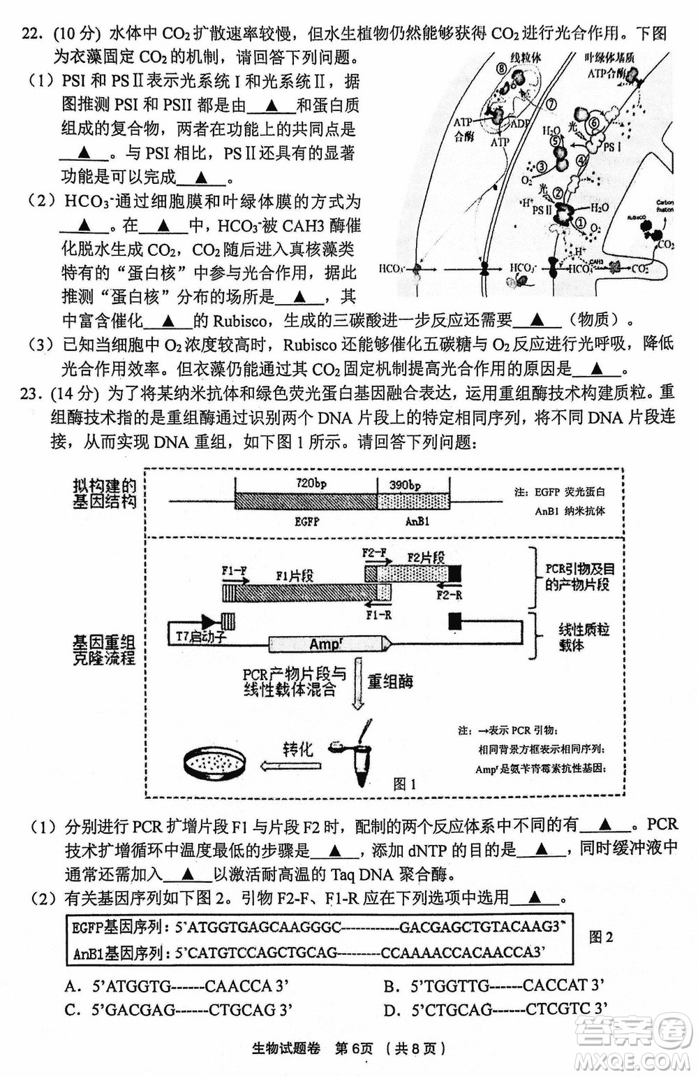 金麗衢十二校2024屆高三上學(xué)期12月第一次聯(lián)考生物參考答案