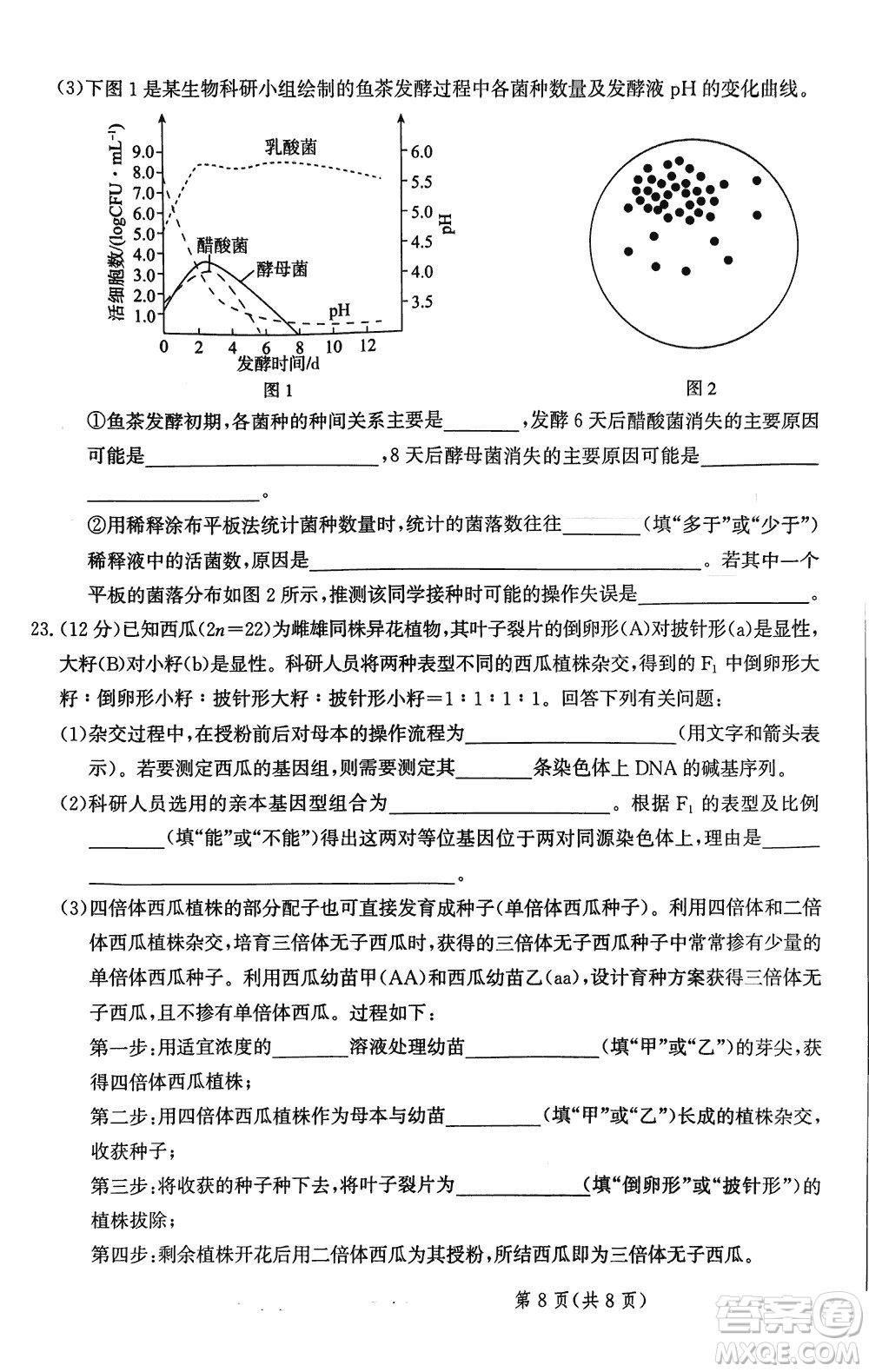 2024屆河北省部分重點高中高三上學(xué)期12月普通高考模擬試題生物參考答案