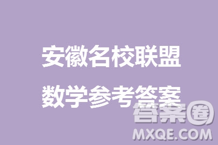 安徽名校聯(lián)盟2024屆高三上學(xué)期12月鼎尖實(shí)驗(yàn)班大聯(lián)考數(shù)學(xué)參考答案