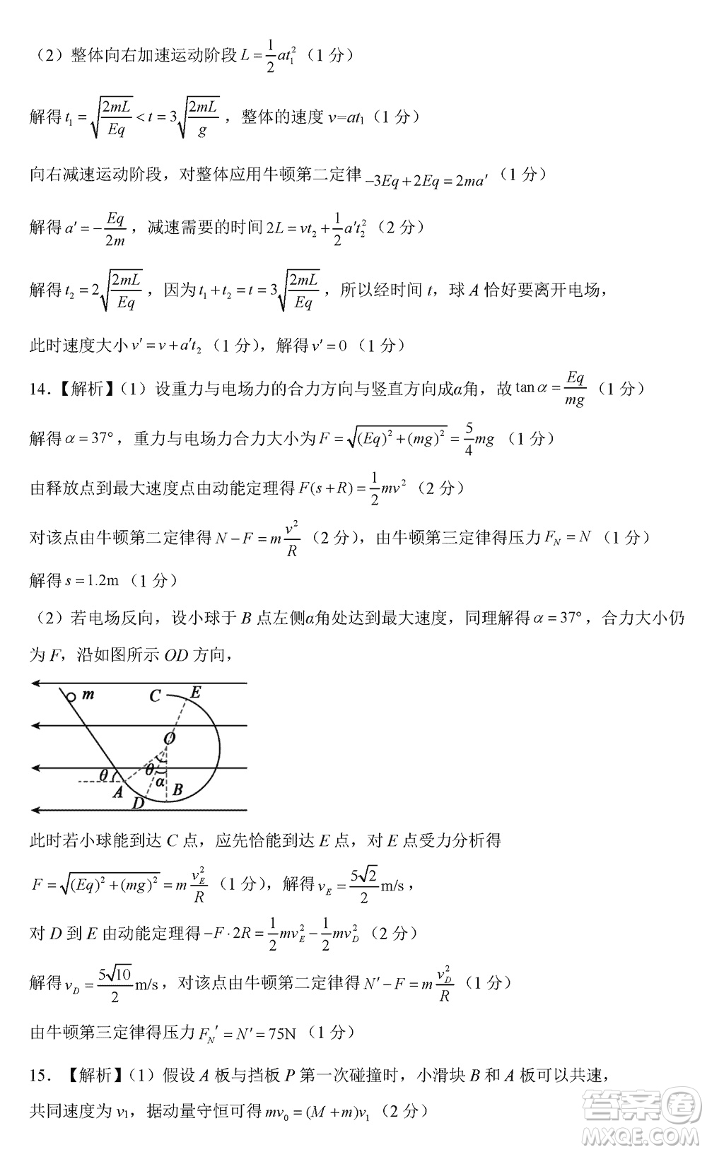 河北新時(shí)代NT教育2024屆高三上學(xué)期12月階段測(cè)試卷物理參考答案