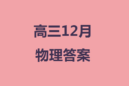 河北新時(shí)代NT教育2024屆高三上學(xué)期12月階段測(cè)試卷物理參考答案