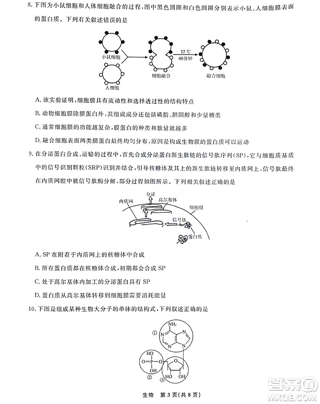 遼寧名校聯(lián)盟2023-2024年高一上12月聯(lián)考生物試卷答案