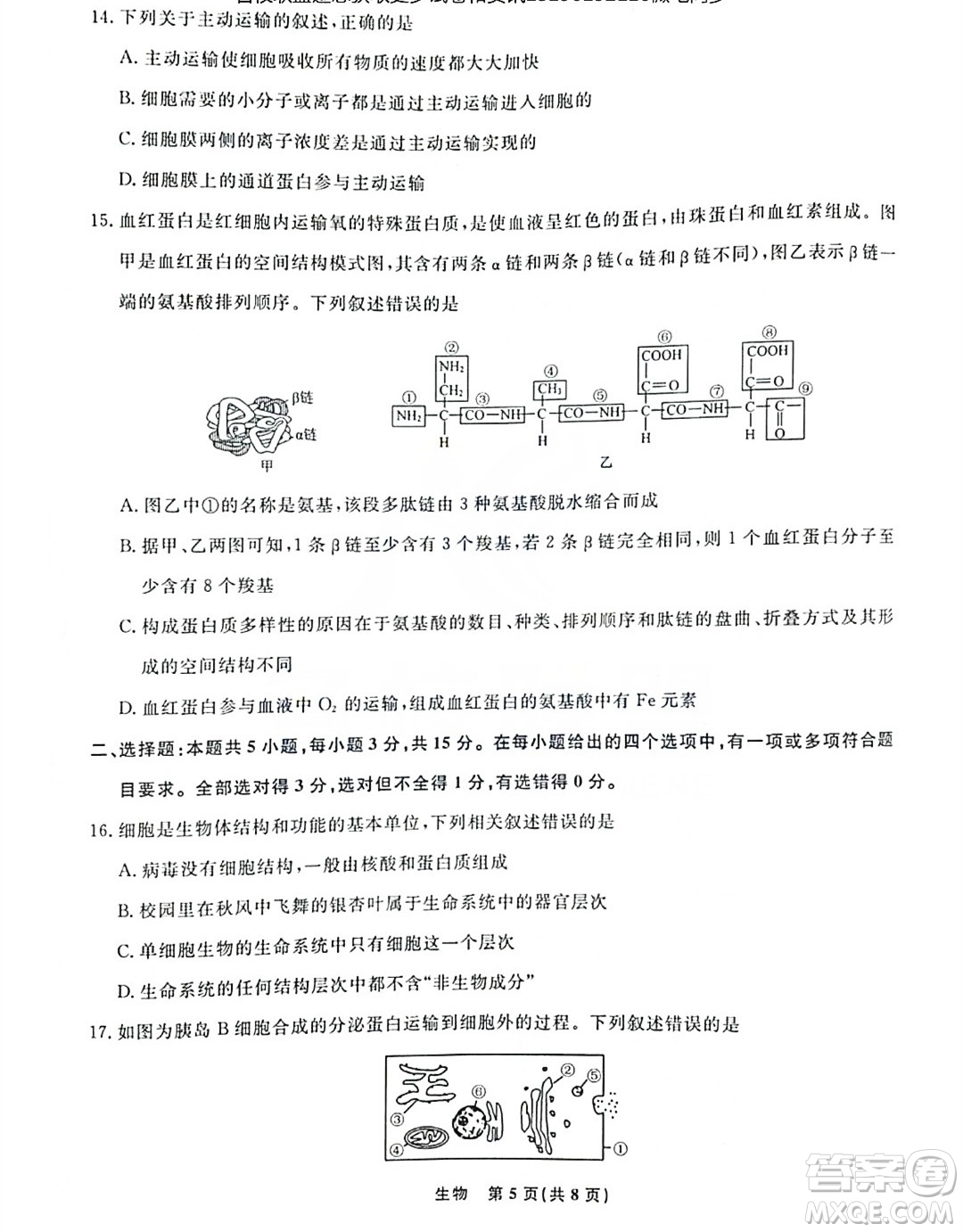 遼寧名校聯(lián)盟2023-2024年高一上12月聯(lián)考生物試卷答案