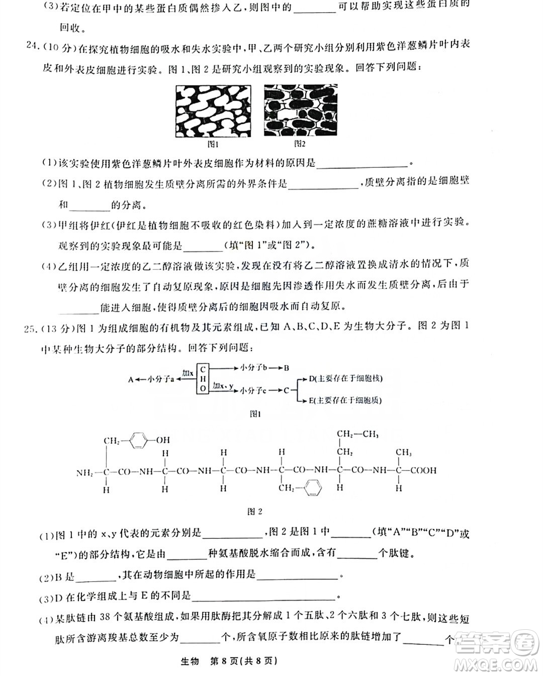 遼寧名校聯(lián)盟2023-2024年高一上12月聯(lián)考生物試卷答案