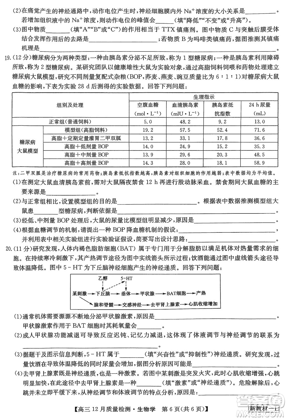 九師聯(lián)盟聯(lián)考2024屆高三12月質量檢測新教材生物試題參考答案