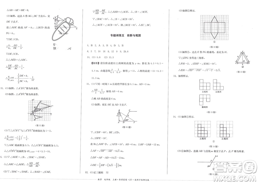 四川教育出版社2023年秋學(xué)情點(diǎn)評(píng)九年級(jí)數(shù)學(xué)上冊(cè)北師大版參考答案