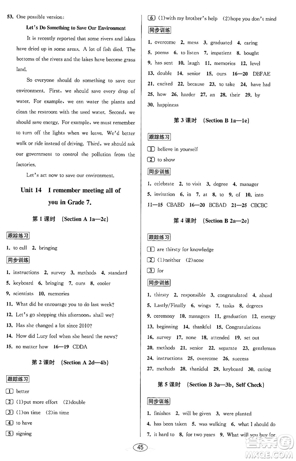 北京教育出版社2023年秋教與學課程同步講練九年級英語全一冊人教版答案