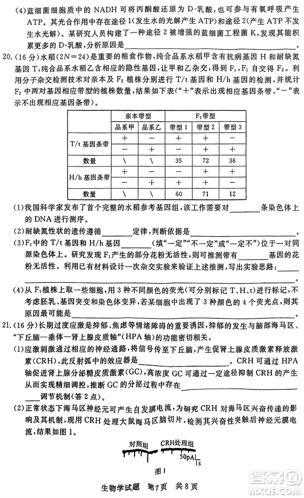 T8聯(lián)考2024屆高三上學期第一次學業(yè)質(zhì)量評價生物參考答案