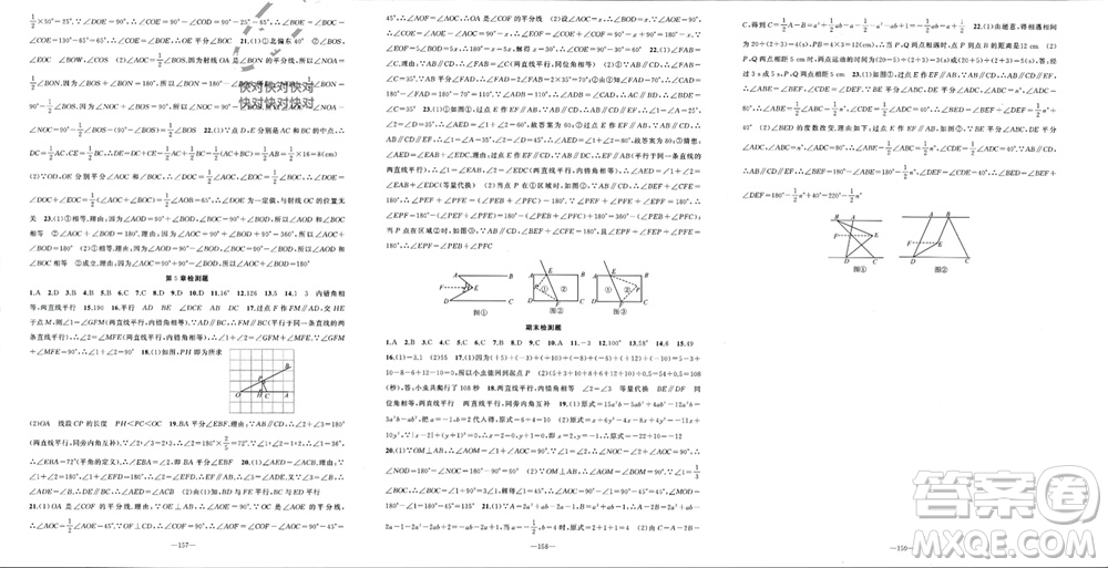 新疆青少年出版社2023年秋原創(chuàng)新課堂七年級數(shù)學上冊華師大版參考答案