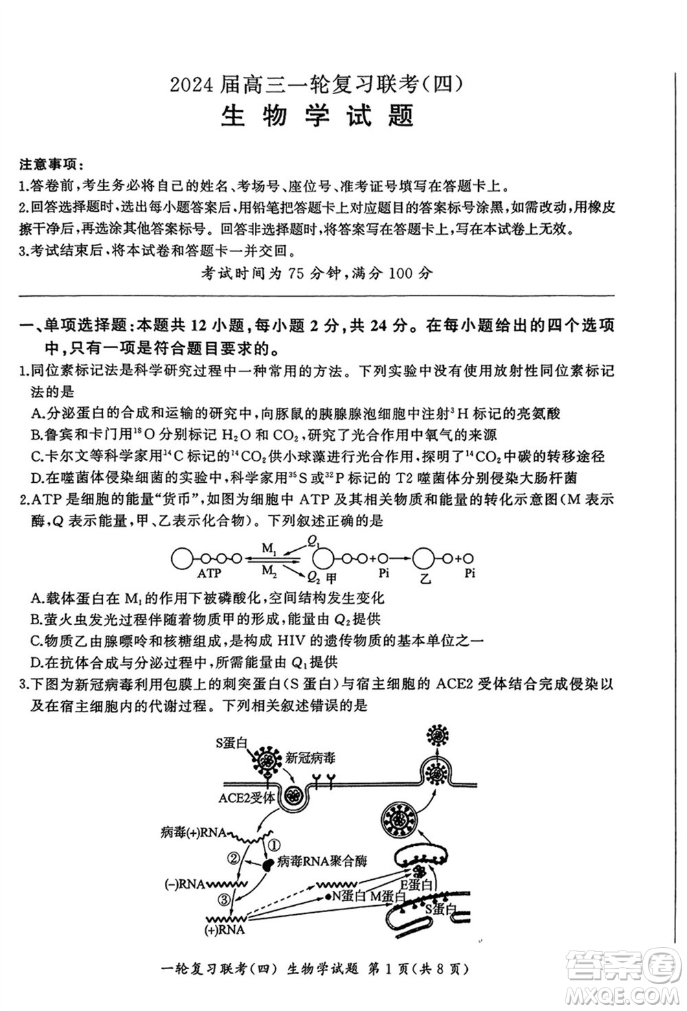 百師聯(lián)盟2024屆高三上學(xué)期一輪復(fù)習(xí)聯(lián)考四江西卷生物參考答案