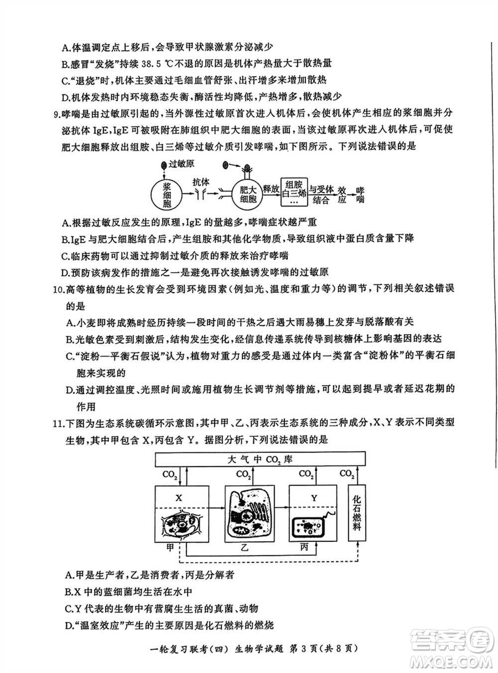 百師聯(lián)盟2024屆高三上學(xué)期一輪復(fù)習(xí)聯(lián)考四江西卷生物參考答案