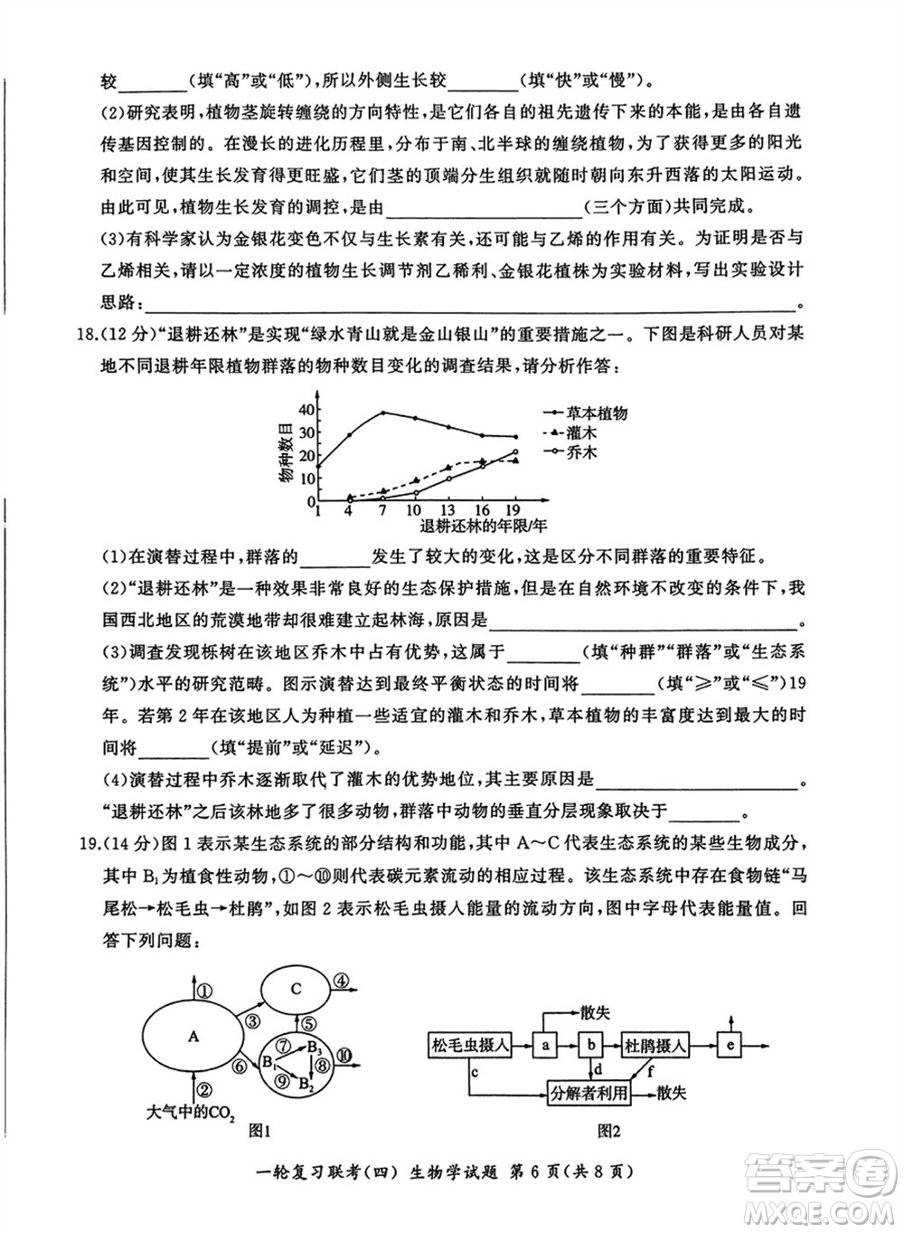 百師聯(lián)盟2024屆高三上學(xué)期一輪復(fù)習(xí)聯(lián)考四江西卷生物參考答案