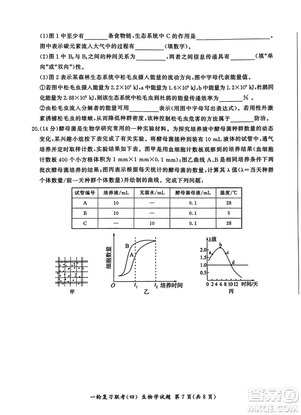 百師聯(lián)盟2024屆高三上學(xué)期一輪復(fù)習(xí)聯(lián)考四江西卷生物參考答案