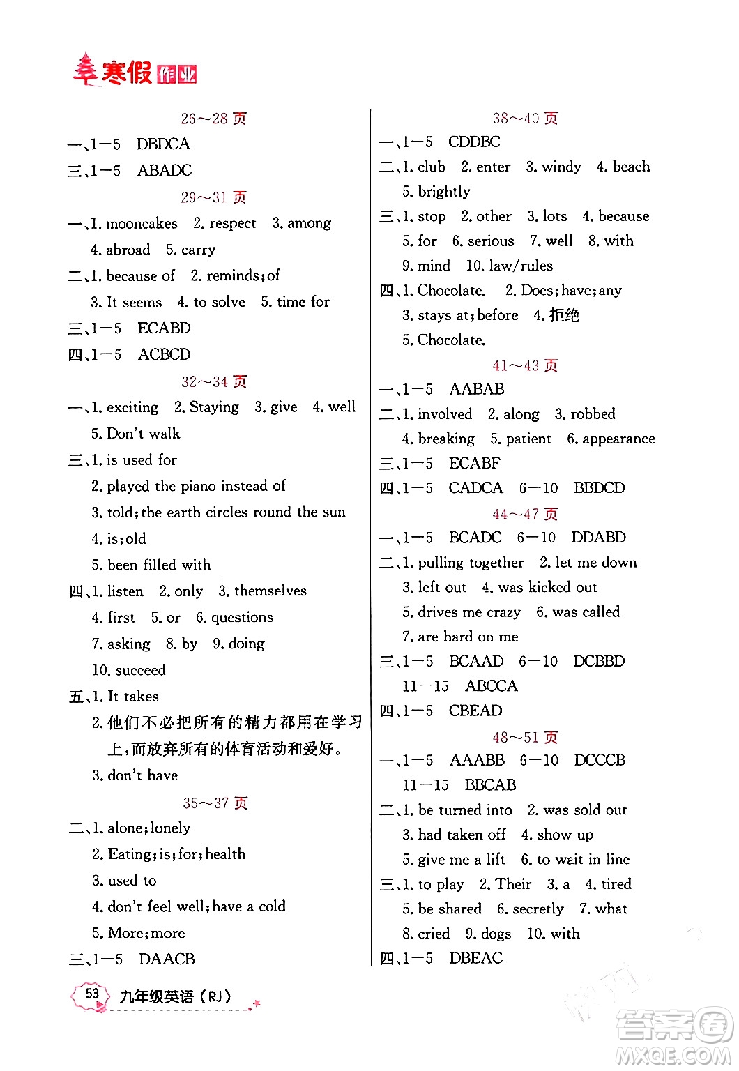 延邊教育出版社2024年寒假作業(yè)九年級英語人教版答案