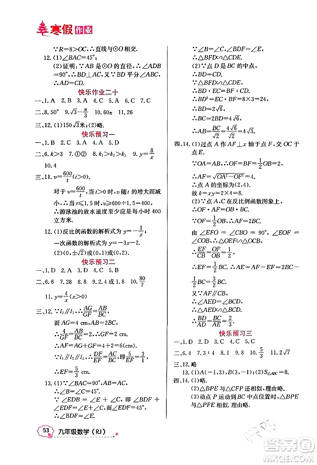 延邊教育出版社2024年寒假作業(yè)九年級數(shù)學人教版答案