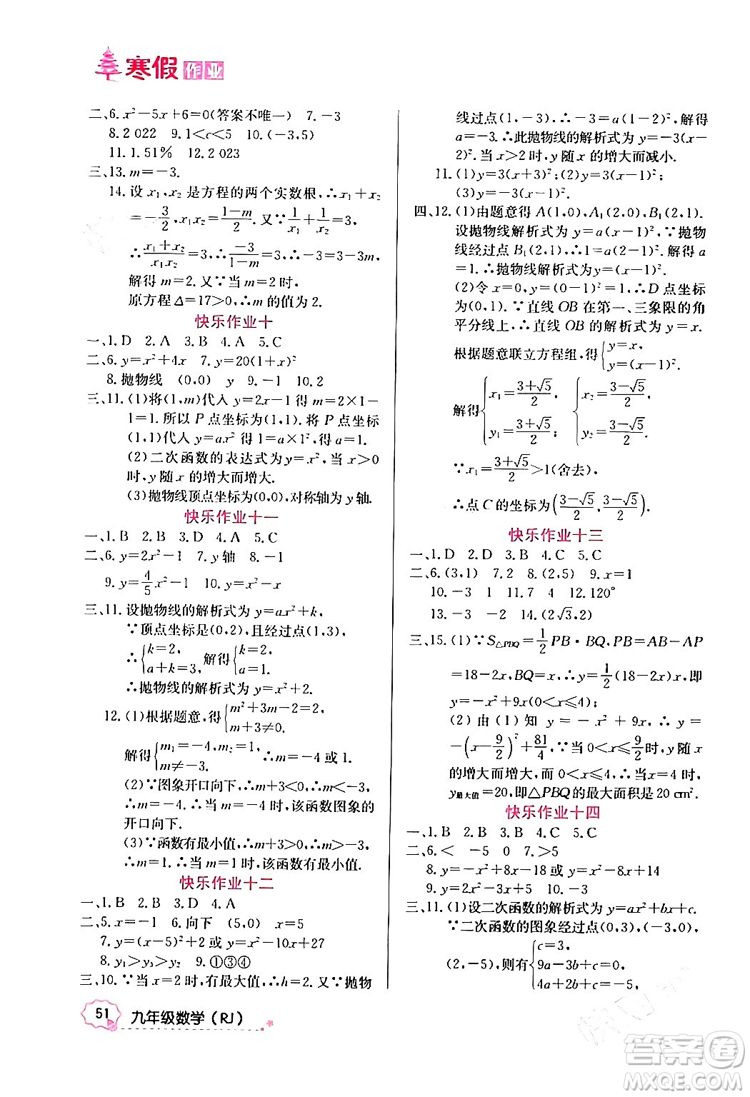 延邊教育出版社2024年寒假作業(yè)九年級數(shù)學人教版答案