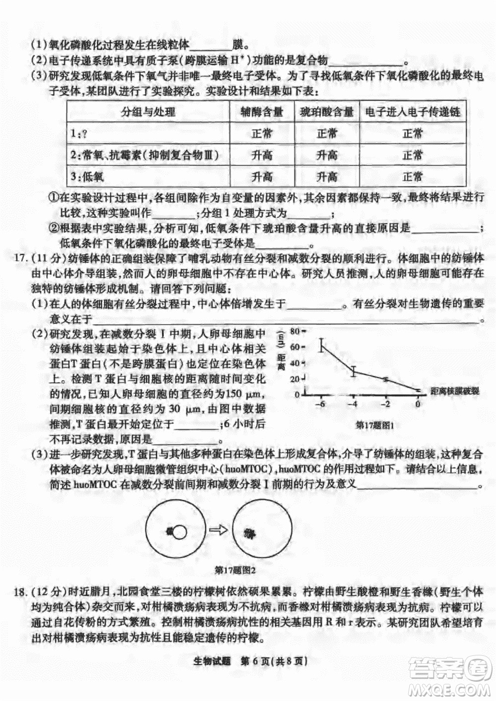 重慶市高2024屆高三上學(xué)期第五次質(zhì)量檢測生物試題參考答案